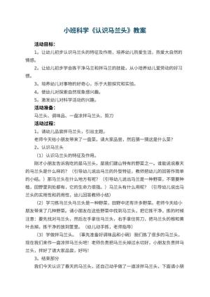 幼儿园小班科学教案《认识马兰头》 包含反思预览