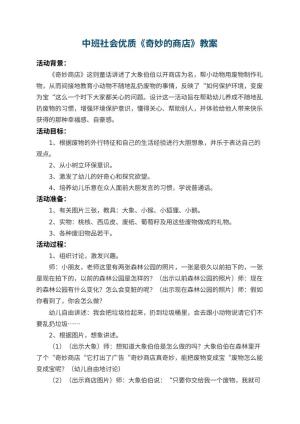幼儿园中班社会优质教案《奇妙的商店》 包含反思预览