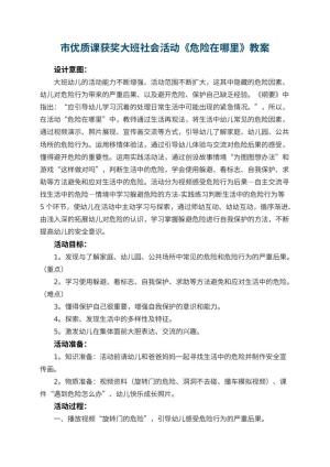 幼儿园市优质课获奖教案大班社会活动《危险在哪里》预览
