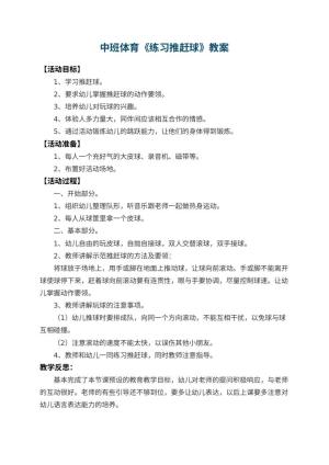 幼儿园中班体育教案《练习推赶球》 包含反思预览