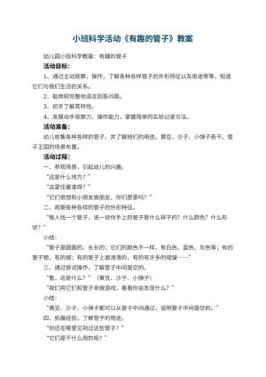 幼儿园小班科学活动教案《有趣的管子》 包含反思预览