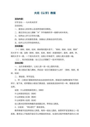 幼儿园大班教案《认字》预览