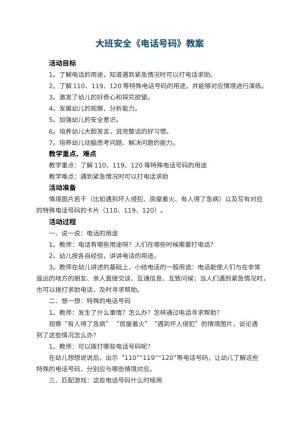 幼儿园大班安全优秀教案《电话号码》 包含反思