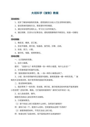 幼儿园大班科学教案《复制》 包含反思预览