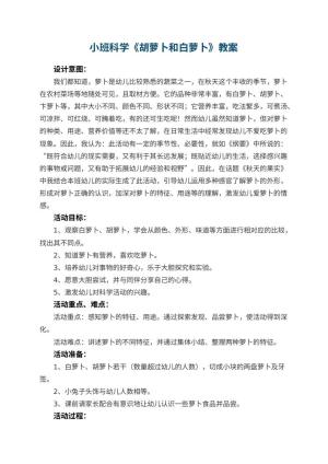 幼儿园小班科学教案《胡萝卜和白萝卜》 包含反思预览