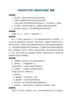 幼儿园大班科学公开课教案《奇妙的手电筒》 包含反思预览
