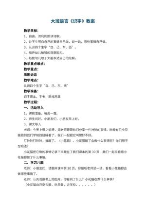 幼儿园大班语言教案《识字》 包含反思预览