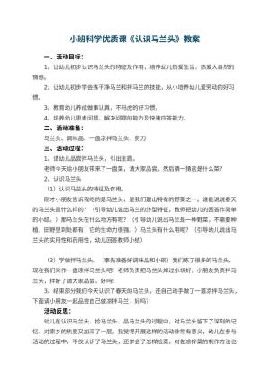 幼儿园小班科学优质课教案《认识马兰头》 包含反思预览