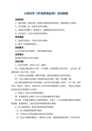 幼儿园小班科学教案《手电筒亮起来》活动 包含反思预览