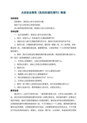 幼儿园大班安全教育教案《危险的烟花爆竹》 包含反思预览