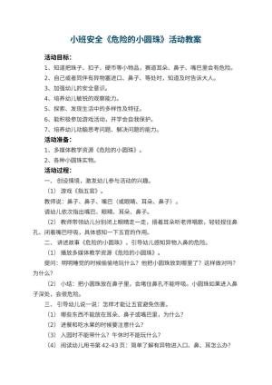 幼儿园小班安全《危险的小圆珠》活动 包含反思预览