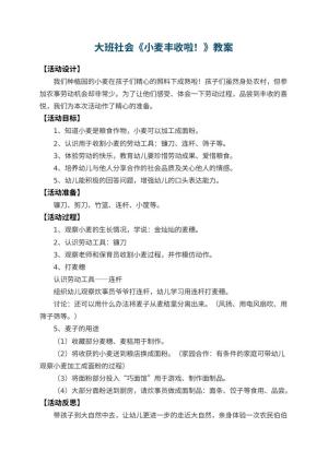 幼儿园大班社会教案《小麦丰收啦！》 包含反思预览