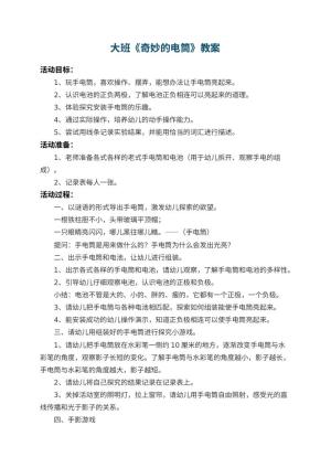 幼儿园大班教案《奇妙的电筒》 包含反思预览
