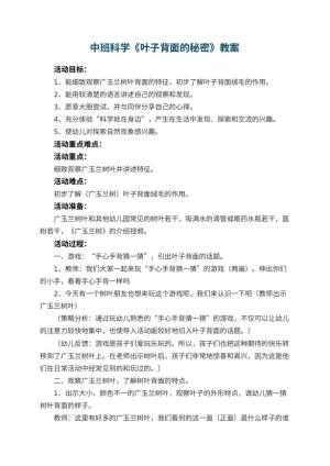 幼儿园中班科学教案《叶子背面的秘密》 包含反思预览