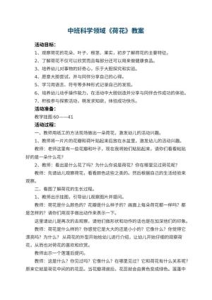 幼儿园中班科学领域《荷花》教案 包含反思预览