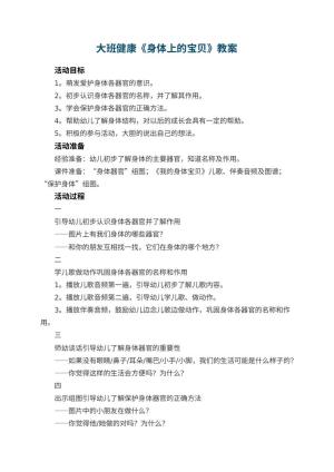 幼儿园大班健康教案《身体上的宝贝》预览