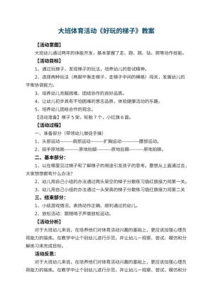 幼儿园大班体育活动优秀教案《好玩的梯子》 包含反思预览