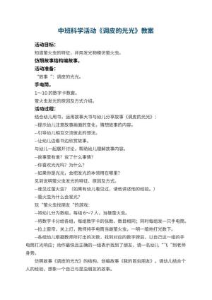 幼儿园中班科学活动教案《调皮的光光》 包含反思预览