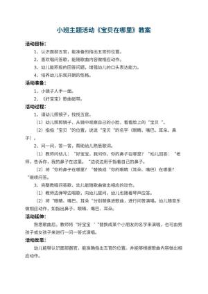 幼儿园小班主题教案活动《宝贝在哪里》 包含反思预览