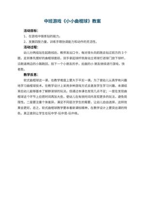 幼儿园中班游戏优秀教案《小小曲棍球》 包含反思预览
