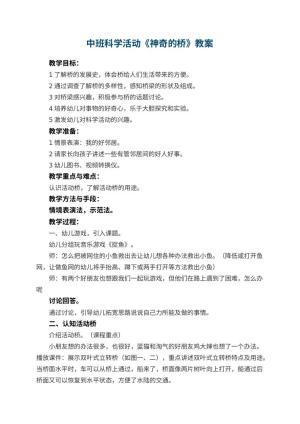 幼儿园中班科学活动教案《神奇的桥》 包含反思预览