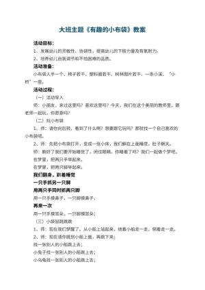 幼儿园大班主题优秀教案《有趣的小布袋》 包含反思