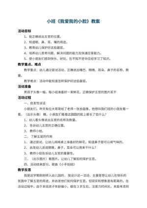 幼儿园小班教案《我爱我的小脸》 包含反思