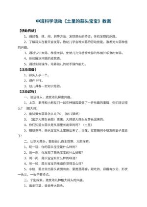 幼儿园中班科学活动教案《土里的蒜头宝宝》 包含反思预览