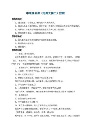 幼儿园中班社会课教案《鸟类大罢工》 包含反思预览