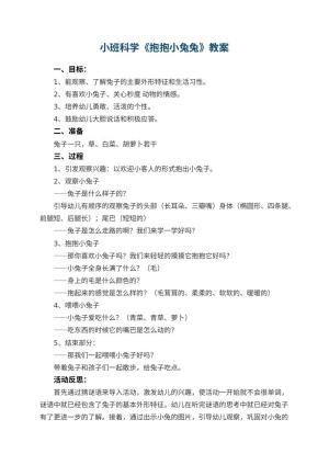幼儿园小班科学教案《抱抱小兔兔》 包含反思预览