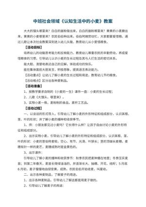 幼儿园中班社会领域教案《认知生活中的小麦》 包含反思预览