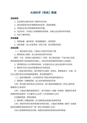 幼儿园大班科学教案《茶具》 包含反思预览