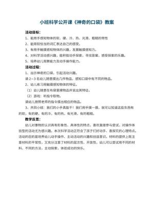 幼儿园小班科学公开课教案《神奇的口袋》 包含反思预览