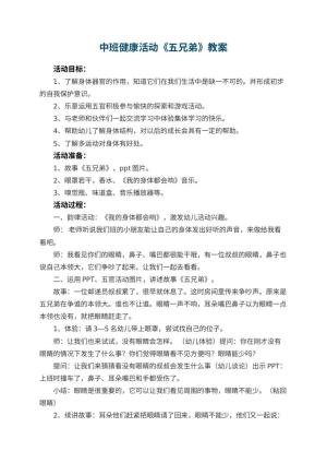 幼儿园中班健康活动教案《五兄弟》预览