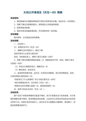 幼儿园大班公开课语言教案《天生一对》 包含反思