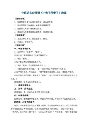 幼儿园中班语言公开课教案《小兔子种麦子》 包含反思预览