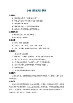 幼儿园小班教案《捉迷藏》 包含反思预览