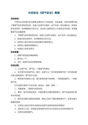幼儿园大班安全教案《煤气安全》 包含反思预览