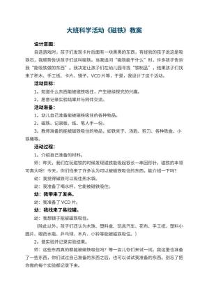 幼儿园大班科学活动教案《磁铁》 包含反思预览