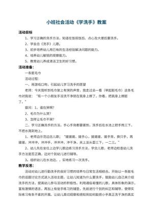 幼儿园小班社会教案活动《学洗手》 包含反思预览