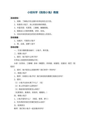 幼儿园小班科学优秀教案《抱抱小兔》预览