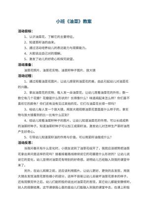 幼儿园小班教案《油菜》 包含反思预览
