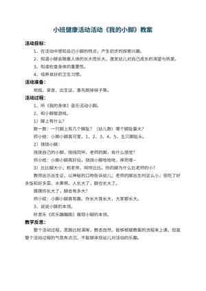 幼儿园小班健康活动教案活动《我的小脚》 包含反思预览
