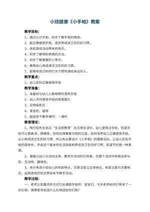 幼儿园小班健康《小手帕》教案预览