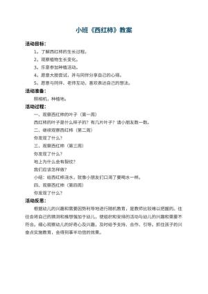 幼儿园小班教案《西红柿》 包含反思预览
