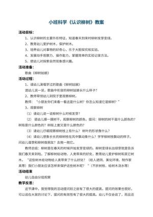 幼儿园小班科学教案《认识柳树》 包含反思预览