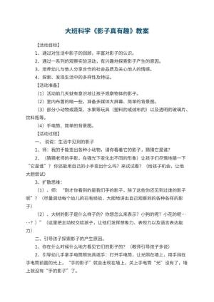 幼儿园大班科学优秀教案《影子真有趣》 包含反思预览
