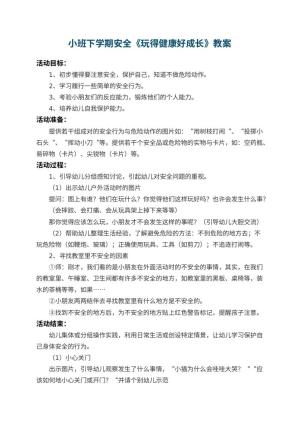 幼儿园小班下学期安全教案《玩得健康好成长》 包含反思预览