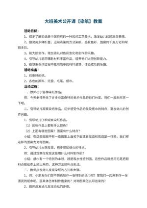幼儿园大班美术公开课教案《染纸》 包含反思预览