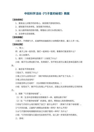 幼儿园中班科学活动教案《勺子里的秘密》 包含反思预览